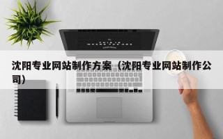 济南沈阳专业网站制作方案（沈阳专业网站制作公司）